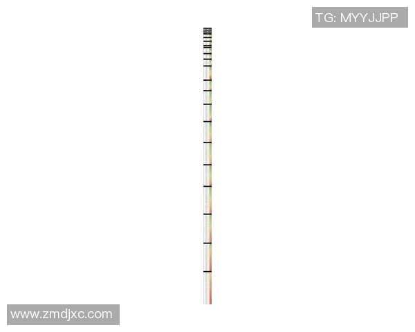 2025年全球最顶级足球球员排名前十名全面解析 2025年全球最顶级足球球员排名前十名全面解析